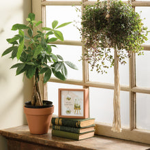 Load image into Gallery viewer, Root Where You Are Planted Box Sign