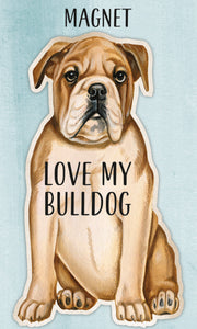 Bulldog Magnet