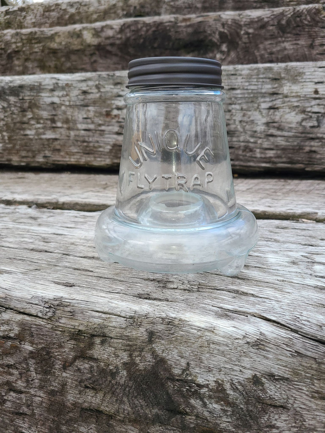 Wasp Trap