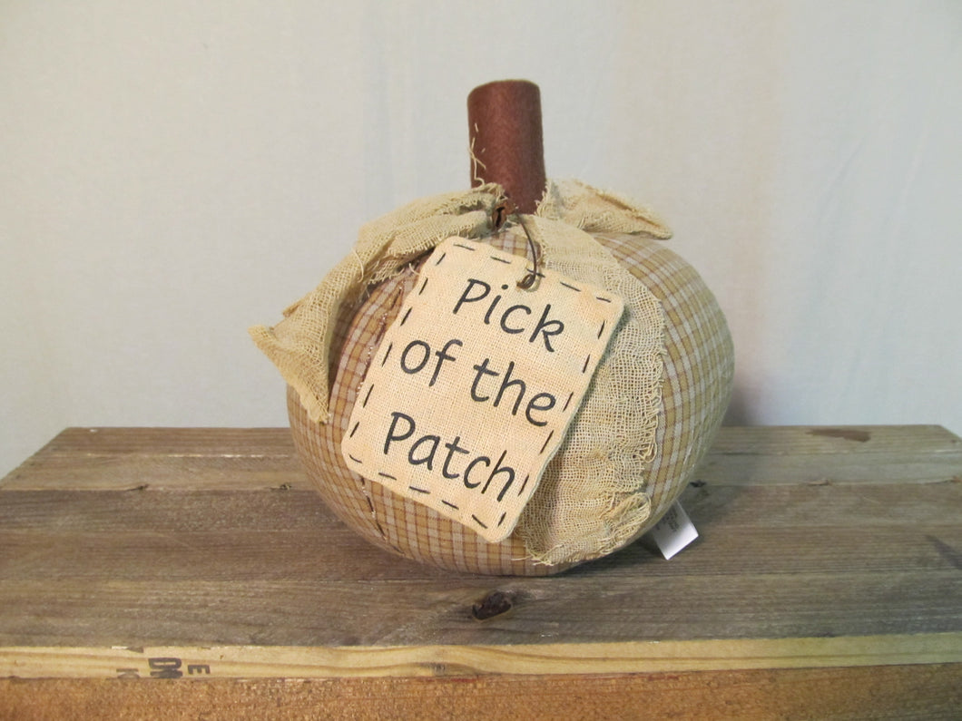 Pick of the Patch Pumpkins